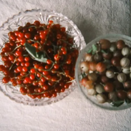 Tajna Bazia Ferienhaus Nidzica